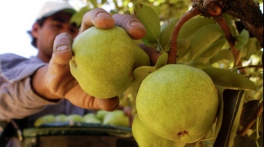 Anunciaron créditos para el sector frutícola