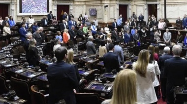 Privatizaciones, el Fondo de Garantía de Sustentabilidad y el Impuesto país entre los ejes más importantes en Diputados
