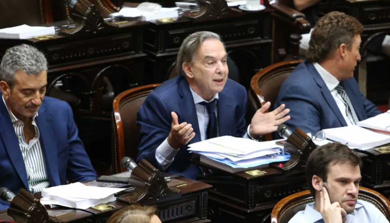 Debate en particular de la Ley Ómnibus: Acuerdos y discrepancias ...
