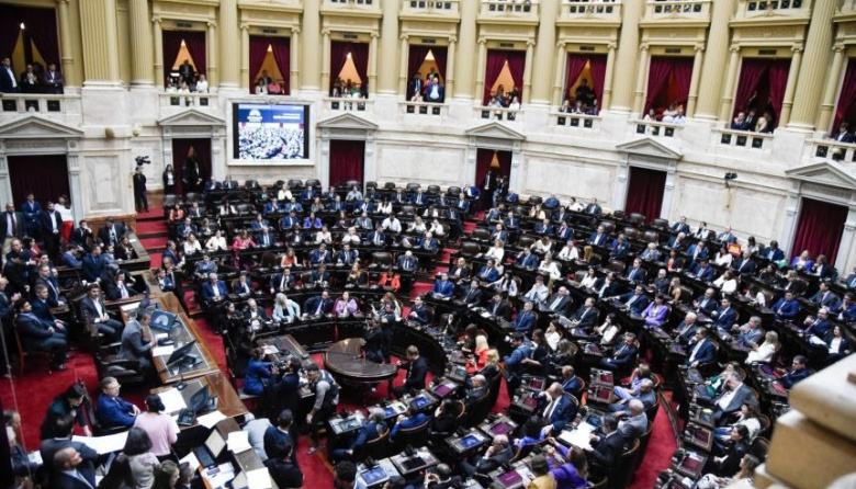 Cómo se reconfigura la representación patagónica en Diputados y qué peso tendrá en cada bloque