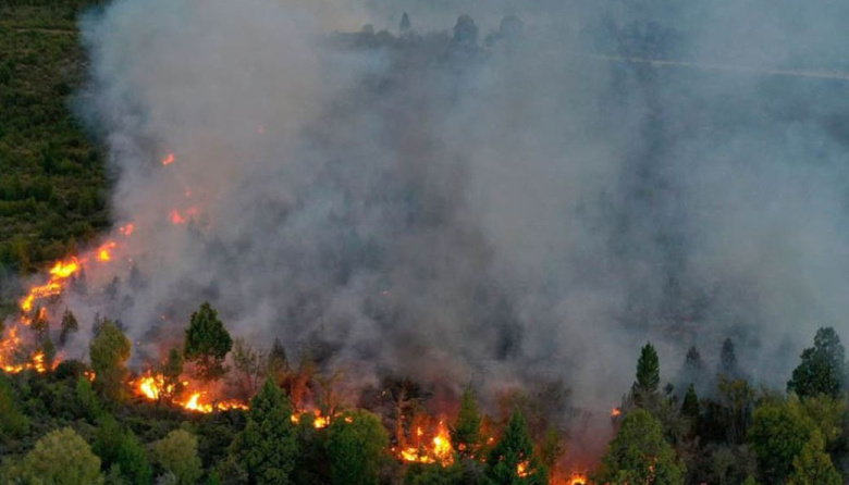 Tierras, incendios y agua: la extranjerización en Río Negro