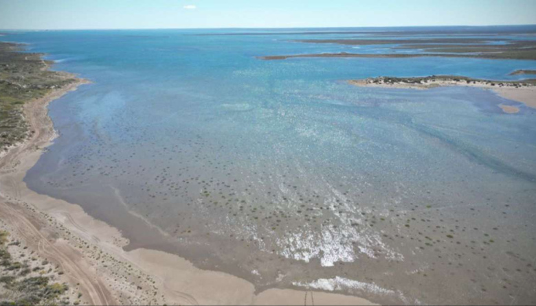 Descubren estructuras microbianas generadas por mareas extremas