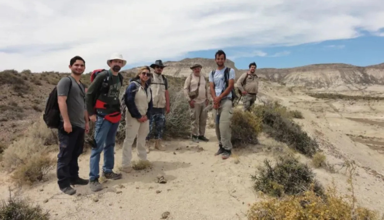 Descubren en Río Negro una palmera fósil de 20 millones de años