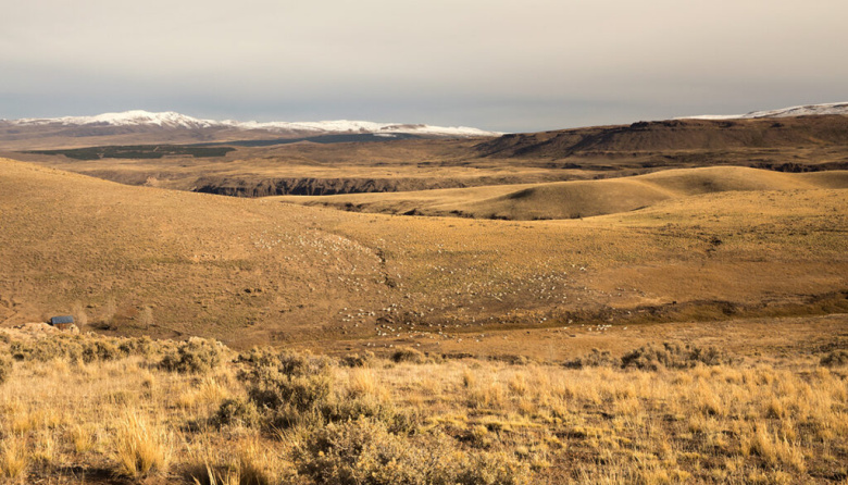 Neuquén prorroga la emergencia agropecuaria por la sequía