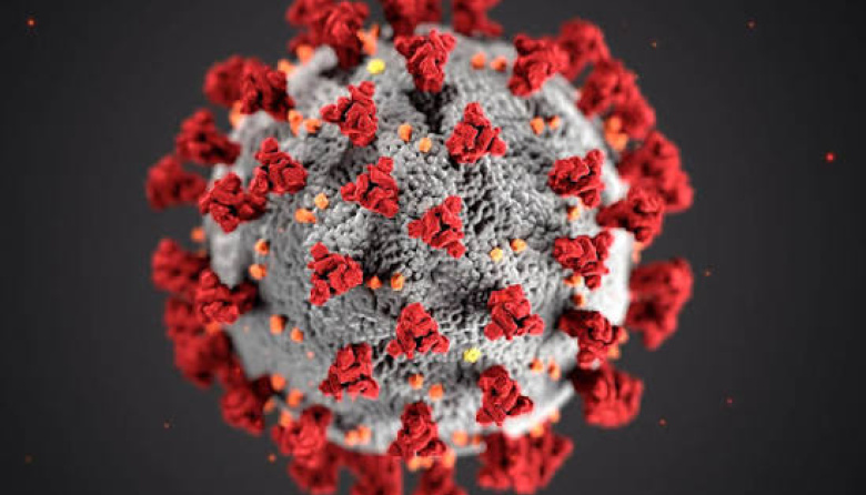 Alerta científica: la falta de control en virus amenaza con otra pandemia