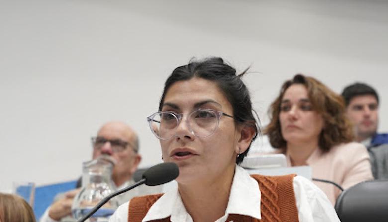 Proponen crear un ente provincial para garantizar la remediación por plomo en San Antonio Oeste