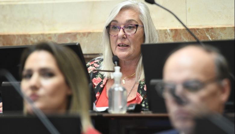 PASO: una senadora de Chubut propone mantener las primarias, pero con cambios