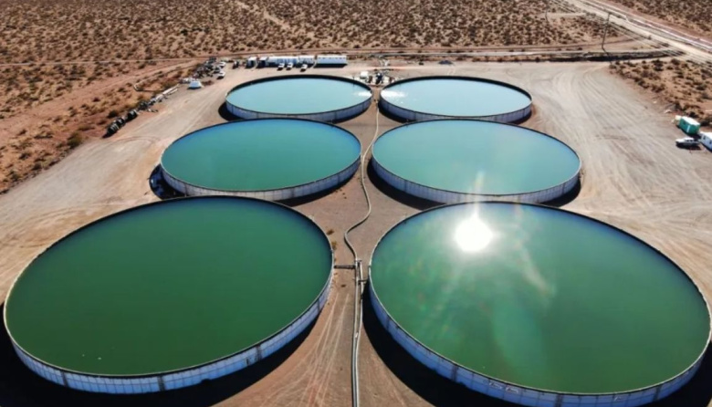 Vaca Muerta: las petroleras buscan producir alimentos y reutilizar agua