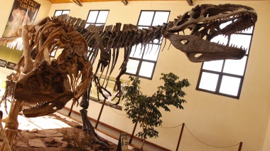 Inició la III Jornada de Paleontología de la Cuenca Neuquina