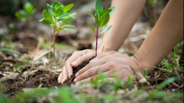 Viedma realizará hoy una jornada de acción comunitaria por el ambiente