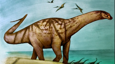 Descubren en Río Negro nuevos restos de dinosaurios de más de 70 millones de años