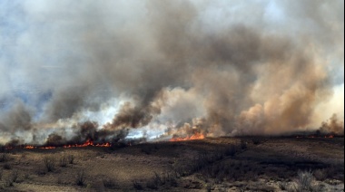 Científicos afirman que el impacto de los constantes incendios en el Delta podrían llevar 300 años para restaurarse
