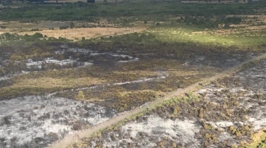 Brigadistas controlaron incendio en cercanías del Parque “Los Alerces” y continúa el operativo en Paso Ancho