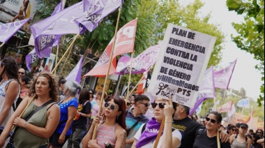 Comienzan a debatir, en la Legislatura, la emergencia contra la violencia de género