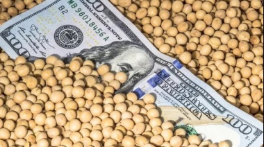 Por el Dólar Soja, el Banco Central acumuló reservas por unos u$s513 millones en el mes