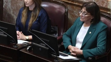 La senadora Mónica Silva ratificó el voto positivo al proyecto de "Ficha Limpia" y criticó la política económica y social del gobierno nacional