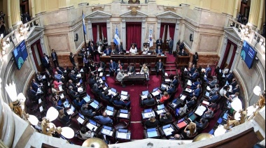 El Senado rechazó la Ley de Ficha Limpia por un voto