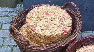 Científicos rionegrinos buscan transformar el orujo de manzana en alimento saludable y sustentable