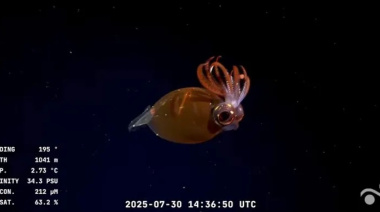 El streaming del CONICET llega a la Patagonia: explorarán cañones submarinos frente a Río Negro y Chubut