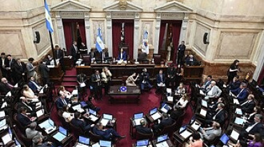 Senado buscará revertir el veto presidencial a la discapacidad y limitar los DNU