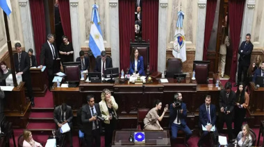 El Senado fijó la fecha para tratar las insistencias aprobadas en Diputados
