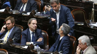Diputados acusan al Gobierno por suspender la Emergencia en Discapacidad y no descartan juicio político a Milei