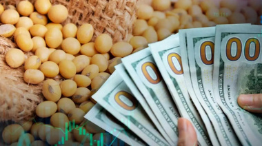 Prematuro fin de la quita de retenciones: el agro alcanzó el cupo de u$s7.000 millones y vuelven los derechos de exportación