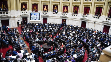 Cómo se reconfigura la representación patagónica en Diputados y qué peso tendrá en cada bloque