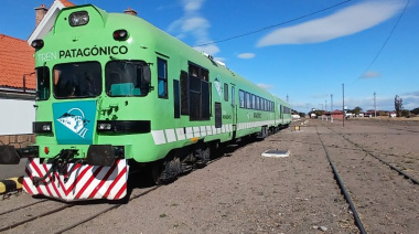 Tren Patagónico: guía completa de precios y servicios para la temporada baja
