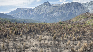 Los últimos ovejeros de Chubut: sequía, pumas y crisis lanera vacían la meseta