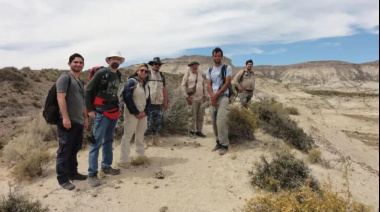 Descubren en Río Negro una palmera fósil de 20 millones de años