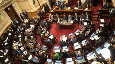 Sin mayoría, el Gobierno recortó la ley y eliminó los artículos más polémicos
