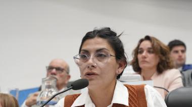 Proponen crear un ente provincial para garantizar la remediación por plomo en San Antonio Oeste