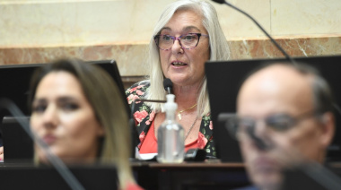 PASO: una senadora de Chubut propone mantener las primarias, pero con cambios