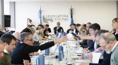 Municipios, IPROSS y Duplicar Norte: los tres proyectos que avanzaron en la Legislatura de Río Negro