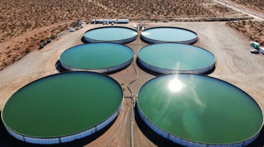 Vaca Muerta: las petroleras buscan producir alimentos y reutilizar agua