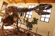 Inició la III Jornada de Paleontología de la Cuenca Neuquina
