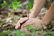 Viedma realizará hoy una jornada de acción comunitaria por el ambiente