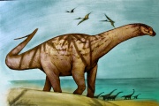 Descubren en Río Negro nuevos restos de dinosaurios de más de 70 millones de años