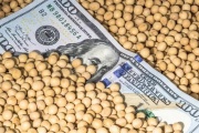 Por el Dólar Soja, el Banco Central acumuló reservas por unos u$s513 millones en el mes