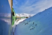 El tren patagónico vuelve a conectarla provincia