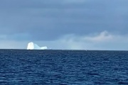 Un iceberg que posiblemente provenga de la Antartida apareció cerca de la costa en Ushuaia