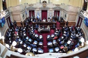 El Senado rechazó la Ley de Ficha Limpia por un voto