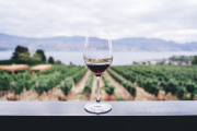 Bodegas rionegrinas dirán presente en Hotelga, la feria nacional de hotelería y gastronomía