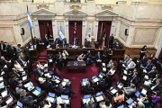 Senado buscará revertir el veto presidencial a la discapacidad y limitar los DNU