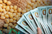Prematuro fin de la quita de retenciones: el agro alcanzó el cupo de u$s7.000 millones y vuelven los derechos de exportación