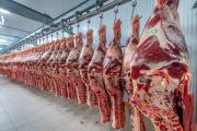 El Gobierno extiende retenciones cero a carnes bovinas y avícolas hasta el 31 de octubre