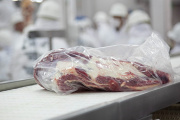 EE.UU. comprará carne argentina, pero en volúmenes limitados: preocupación por la fiebre aftosa