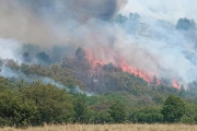 Neuquén enfrenta seis incendios forestales y refuerza el operativo en tres focos que siguen fuera de control