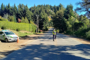 Controles viales en Bariloche: hicieron 228 test de alcoholemia y detectaron dos casos positivos